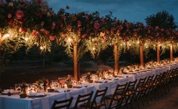 Vanessa Serrani Wedding Planner