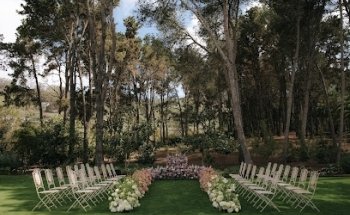 Azul Salado Wedding Planner