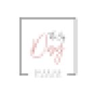 THE BIG DAY / organizador de bodas